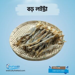 বড় লইট্টা শুটকি – প্রিমিয়াম শুকনো মাছ