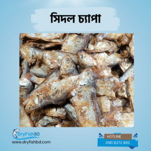 সিদল চ্যাপা শুঁটকি – প্রিমিয়াম শুকনো মাছ